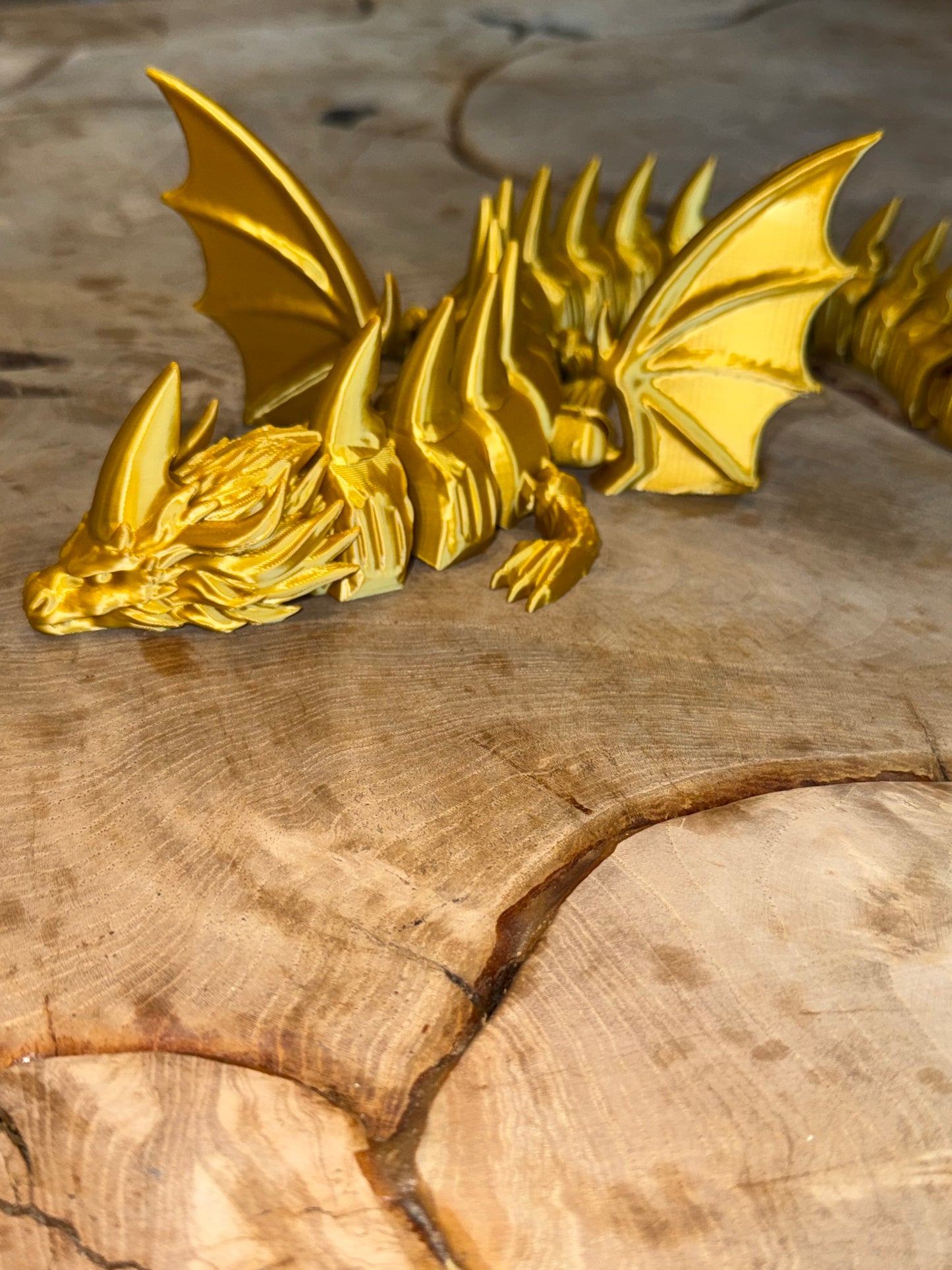 Golden Fins Dragon